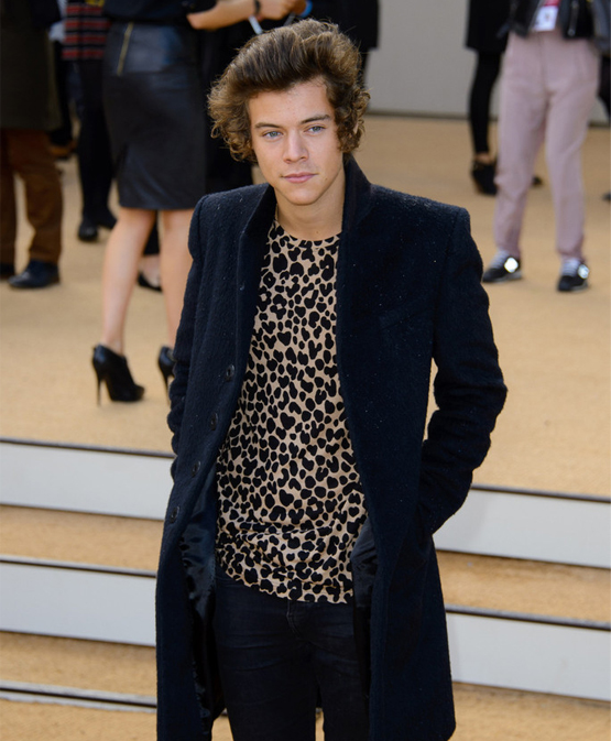 Print blok Afsnit Harry Styles' Burberry shirt goes under the hammer for UNICEF - my fashion  life