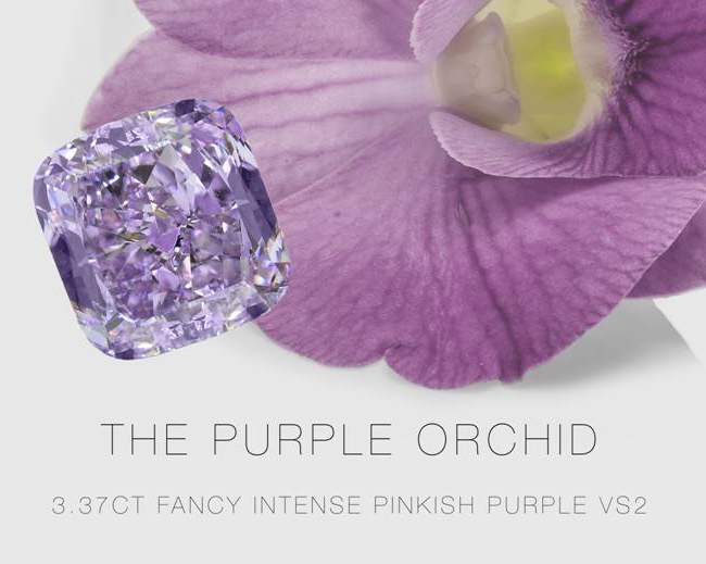purple-orchid-diamond