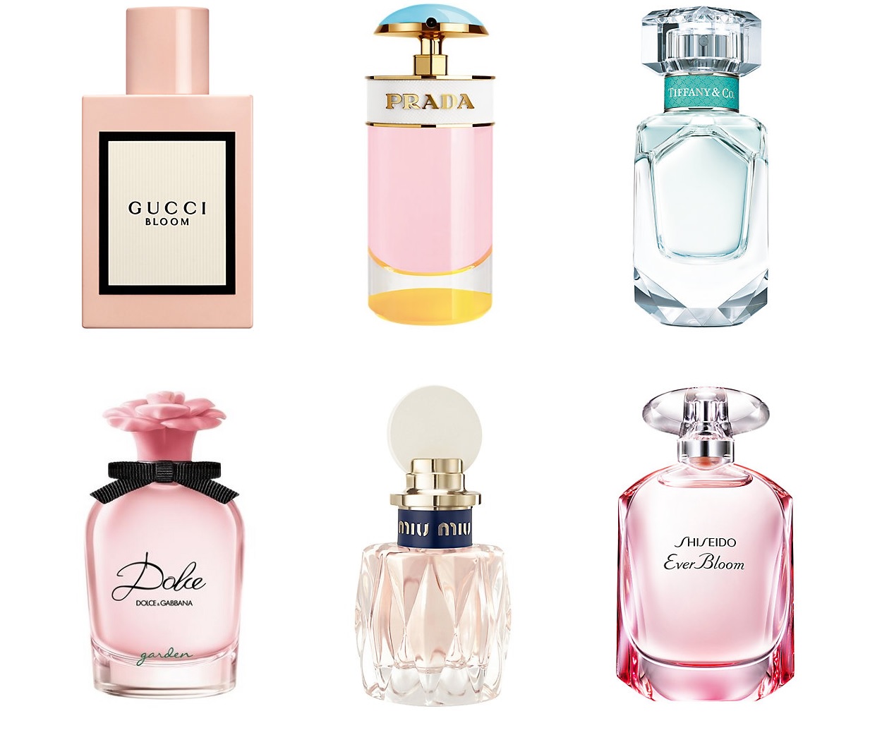 dolce and gabbana perfume 2018